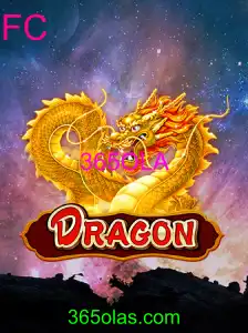 Ganhador